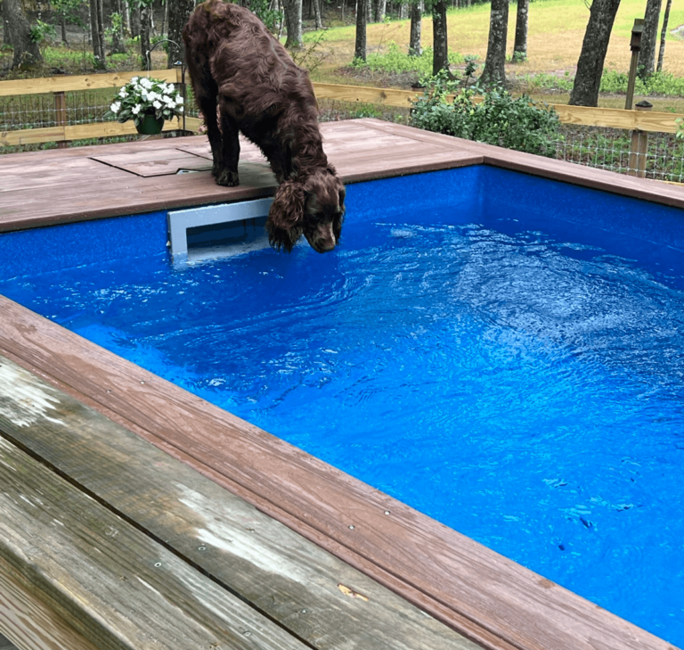 Nellie Plunge Little Pool above ground pool