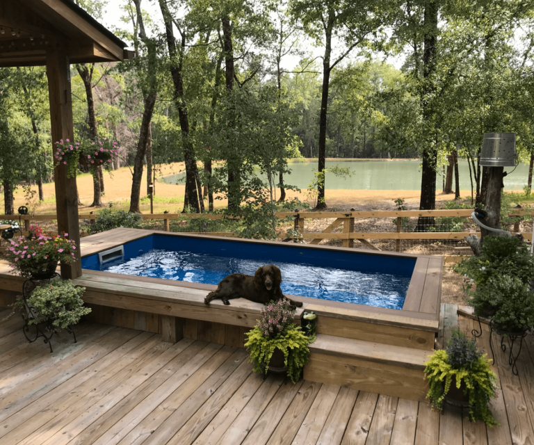 Nellie and her new Little Pool 3.8 Plunge pacific, Ridgeville, SC
