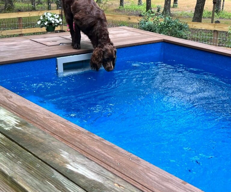 Little Pool Plunge 3.8 Pacific Ridgeville, SC