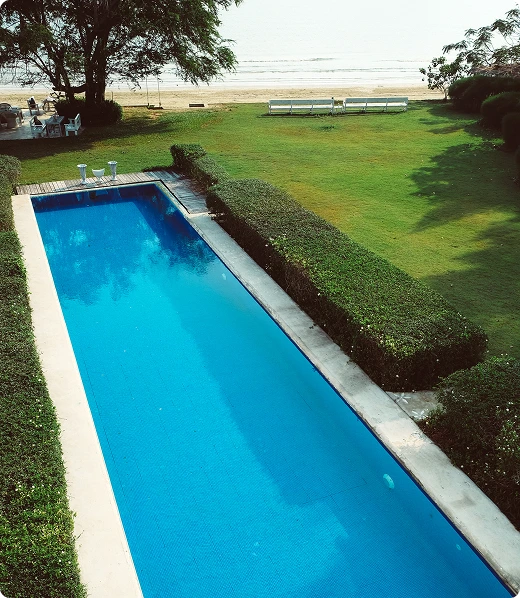top view of the pool with bushes around